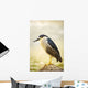 USA, Hawaii, Black Crowned Night Heron Wall Mural