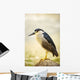 USA, Hawaii, Black Crowned Night Heron Wall Mural