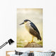 USA, Hawaii, Black Crowned Night Heron Wall Mural