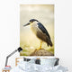 USA, Hawaii, Black Crowned Night Heron Wall Mural