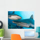 Micronesia, Two Gray Reef Sharks In Turquoise Ocean Water Wall Mural