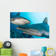 Micronesia, Two Gray Reef Sharks In Turquoise Ocean Water Wall Mural