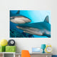Micronesia, Two Gray Reef Sharks In Turquoise Ocean Water Wall Mural