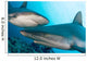 Micronesia, Two Gray Reef Sharks In Turquoise Ocean Water Wall Mural