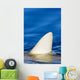 Hawaii, Gray Reef Shark Wall Mural