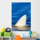 Hawaii, Gray Reef Shark Wall Mural