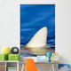 Hawaii, Gray Reef Shark Wall Mural