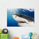 Great White Shark Wall Mural