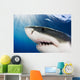 Great White Shark Wall Mural