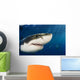 Mexico, Guadalupe Island, Great White Shark Wall Mural