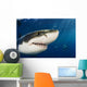 Mexico, Guadalupe Island, Great White Shark Wall Mural