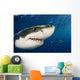 Mexico, Guadalupe Island, Great White Shark Wall Mural