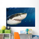 Mexico, Guadalupe Island, Great White Shark Wall Mural