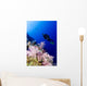 Micronesia, Yap, Acyonarian Coral Illuminated With Diver Above Wall Mural