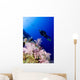 Micronesia, Yap, Acyonarian Coral Illuminated With Diver Above Wall Mural