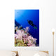 Micronesia, Yap, Acyonarian Coral Illuminated With Diver Above Wall Mural