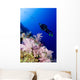 Micronesia, Yap, Acyonarian Coral Illuminated With Diver Above Wall Mural