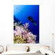 Micronesia, Yap, Acyonarian Coral Illuminated With Diver Above Wall Mural