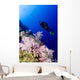 Micronesia, Yap, Acyonarian Coral Illuminated With Diver Above Wall Mural