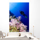 Micronesia, Yap, Acyonarian Coral Illuminated With Diver Above Wall Mural