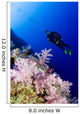 Micronesia, Yap, Acyonarian Coral Illuminated With Diver Above Wall Mural