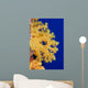 Micronesia, Yap, Soft Alcyonarian Coral Illuminated In Ocean Wall Mural