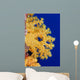 Micronesia, Yap, Soft Alcyonarian Coral Illuminated In Ocean Wall Mural
