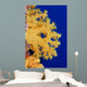 Micronesia, Yap, Soft Alcyonarian Coral Illuminated In Ocean Wall Mural