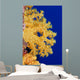 Micronesia, Yap, Soft Alcyonarian Coral Illuminated In Ocean Wall Mural