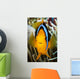 Micronesia, Yap, Clark's Anemonefish Wall Mural