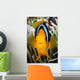 Micronesia, Yap, Clark's Anemonefish Wall Mural