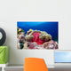 Micronesia, Anemonefish And Sea Anemone Wall Mural