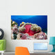 Micronesia, Anemonefish And Sea Anemone Wall Mural