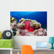 Micronesia, Anemonefish And Sea Anemone Wall Mural