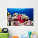 Micronesia, Anemonefish And Sea Anemone Wall Mural