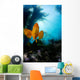 USA, California, Garibaldi Fish In Kelp Forest Wall Mural