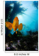 USA, California, Garibaldi Fish In Kelp Forest Wall Mural