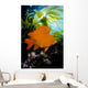 California, Garibaldi In Kelp Forest Wall Mural