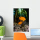 USA, Garibaldi Fish In Kelp Forest Wall Mural