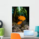 USA, Garibaldi Fish In Kelp Forest Wall Mural