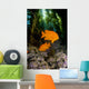USA, Garibaldi Fish In Kelp Forest Wall Mural