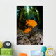 USA, Garibaldi Fish In Kelp Forest Wall Mural