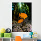 USA, Garibaldi Fish In Kelp Forest Wall Mural