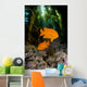 USA, Garibaldi Fish In Kelp Forest Wall Mural