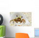 Micronesia, Hermit Crab On Seafloor Sand Wall Mural