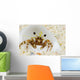 Micronesia, Hermit Crab On Seafloor Sand Wall Mural