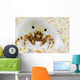 Micronesia, Hermit Crab On Seafloor Sand Wall Mural