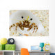 Micronesia, Hermit Crab On Seafloor Sand Wall Mural