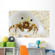 Micronesia, Hermit Crab On Seafloor Sand Wall Mural