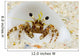 Micronesia, Hermit Crab On Seafloor Sand Wall Mural